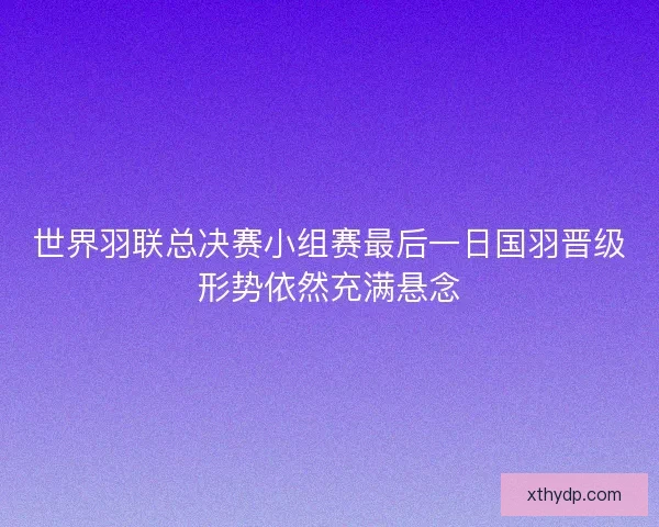 世界羽联总决赛小组赛最后一日国羽晋级形势依然充满悬念